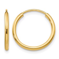 Featured image for “14k Endless Hoops”