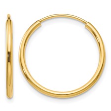 Featured image for “14k Endless Hoops”